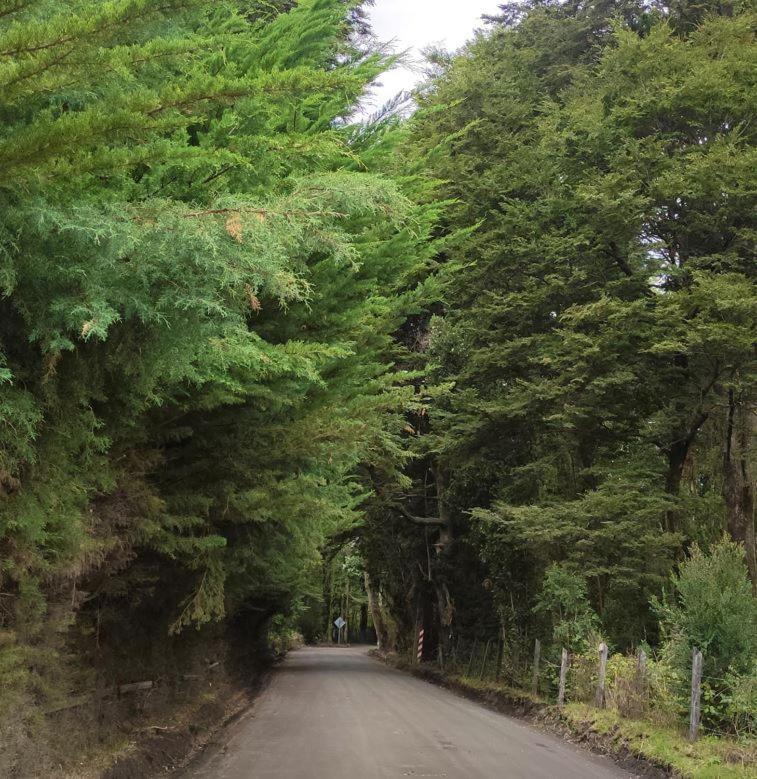 Cabana Ensenada, Puerto Varas - 1 Ambiente Ngoại thất bức ảnh